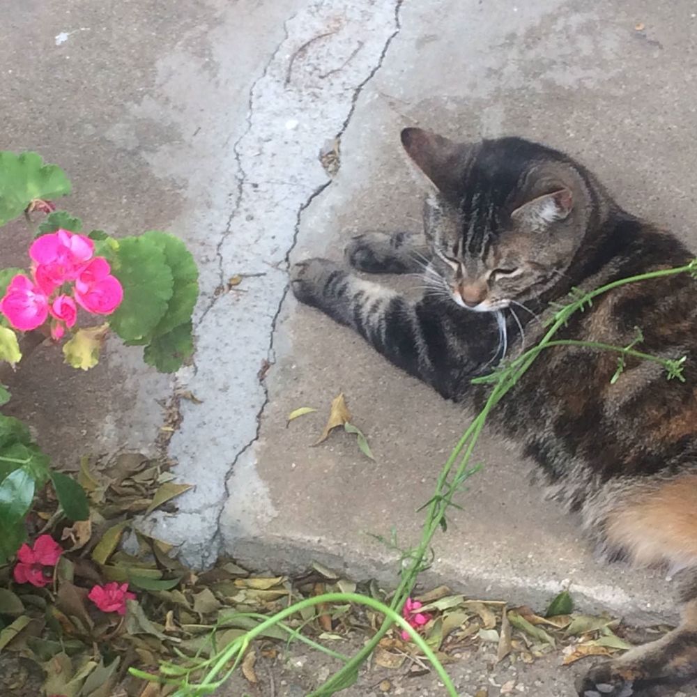 Meet your Posher, Jacqui